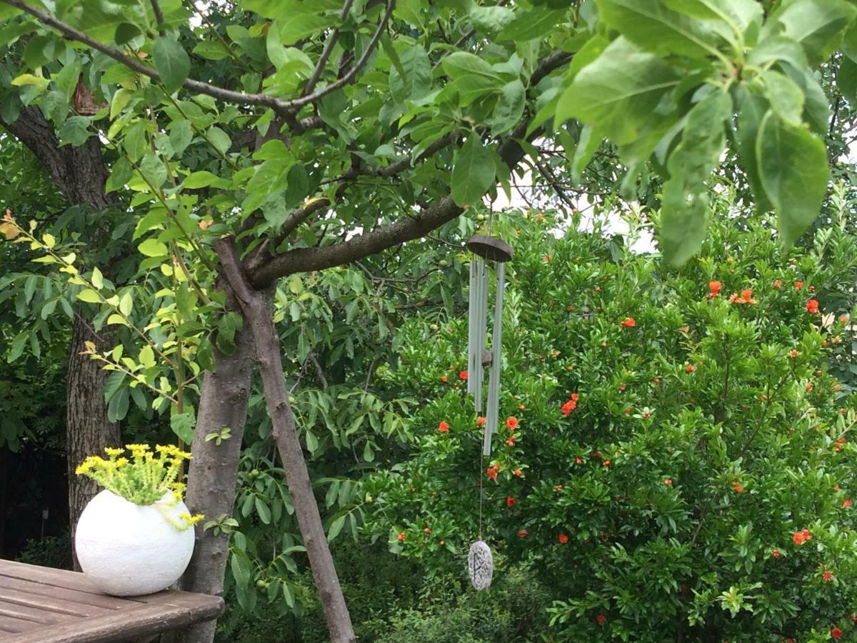 كاستلفترو دي مودينا Il Giardino B&B المظهر الخارجي الصورة