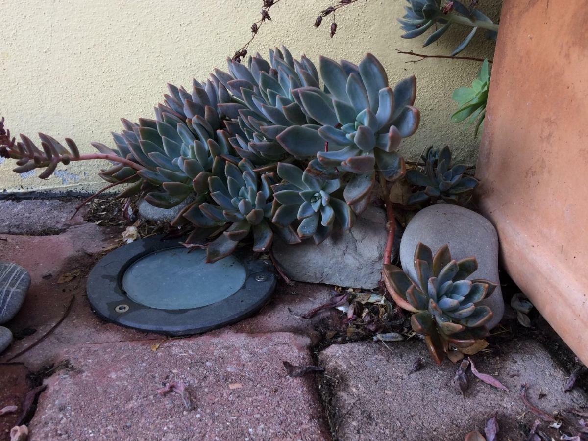 كاستلفترو دي مودينا Il Giardino B&B المظهر الخارجي الصورة
