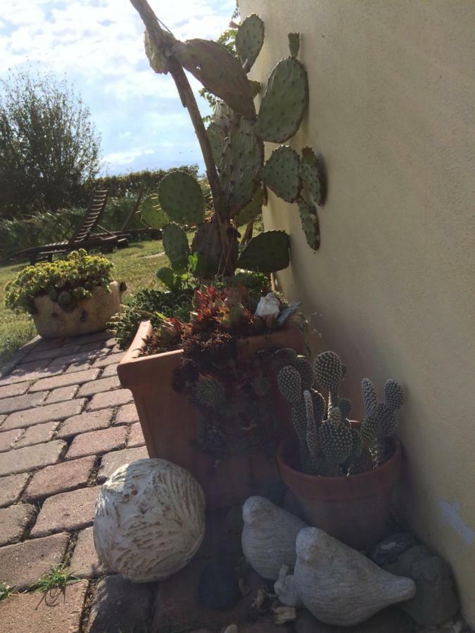 كاستلفترو دي مودينا Il Giardino B&B المظهر الخارجي الصورة